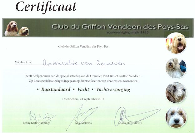 Certificaat
