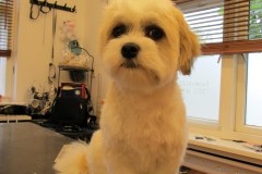 10-cecil-v-santen-lizzy-na-small